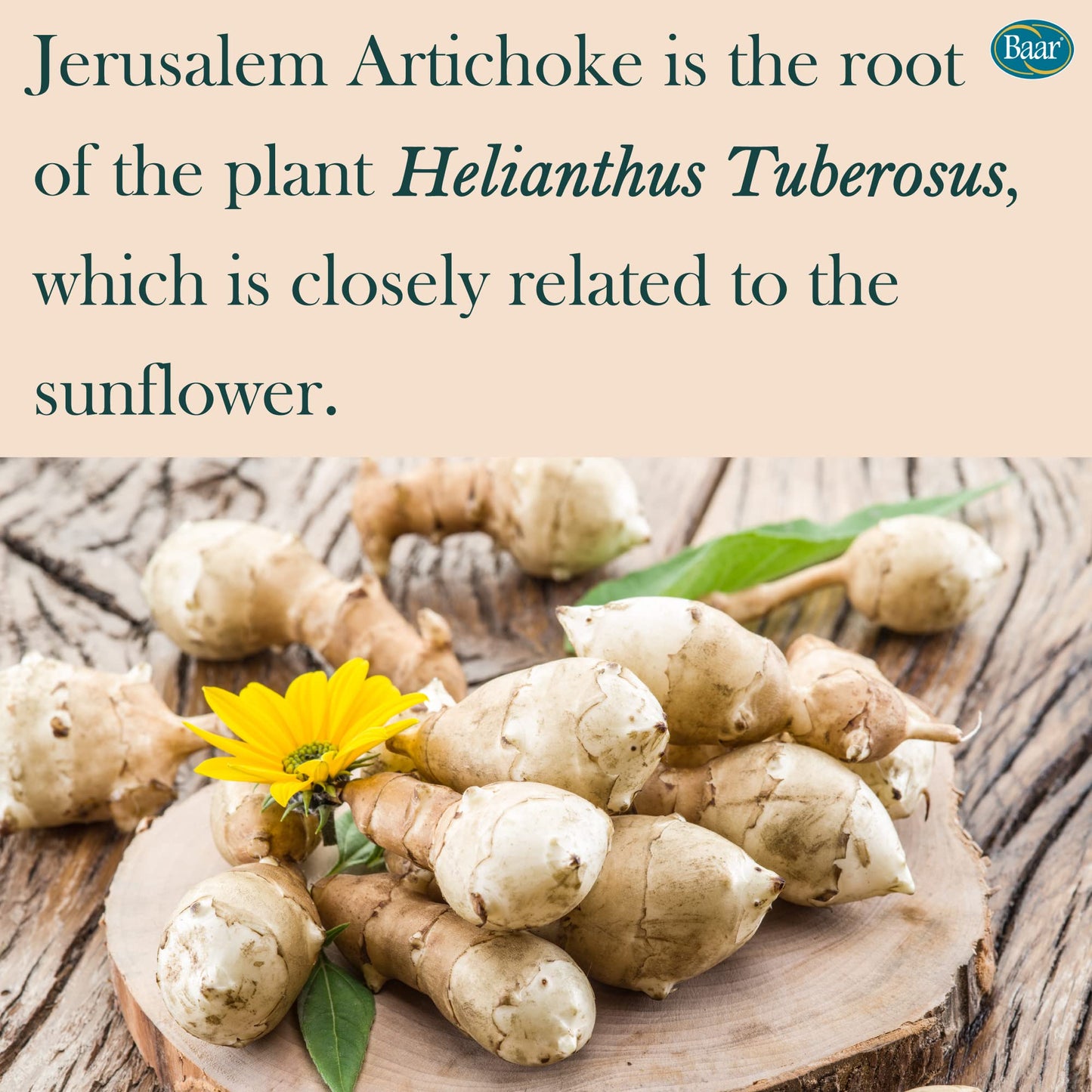 Baar Jerusalem Artichoke 320 mg Capsules, 100 Capsules
