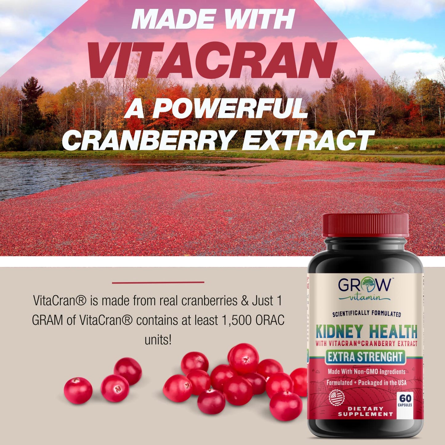 Grow Vitamin Premium Kidney Cleanse Supplement – Powerful Kidney Support Formula with Cranberry Extract Helps Support Healthy Kidneys & Urinary Tract Support, 60 Capsules
