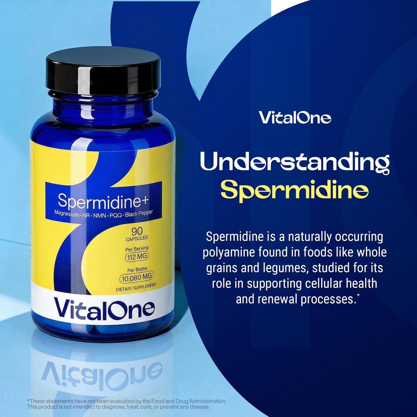 VitalOne Spermidine 12mg Supplement with NR, NMN, PQQ, Magnesium Bisglycinate & Black Pepper Extract Nicotinamide Riboside Blend Cellular Energy Support Capsules 90 Count