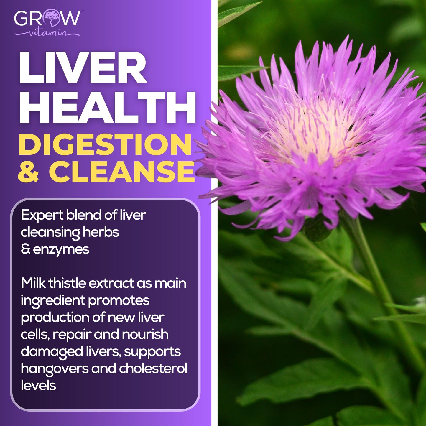 Grow Vitamin Liver Cleanse Detox Capsules, 60 Capsules
