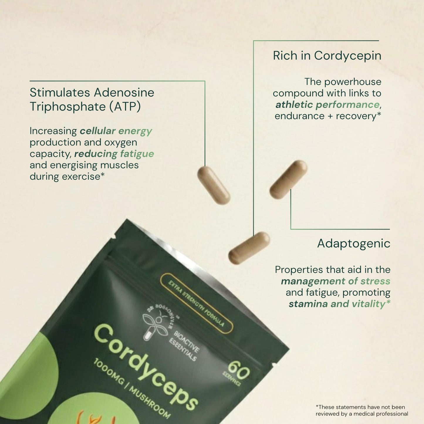 Dr Sosnowski's BioActive Cordyceps Mushroom Capsules 1000mg High Strength Cordyceps Extract, 120 Capsules