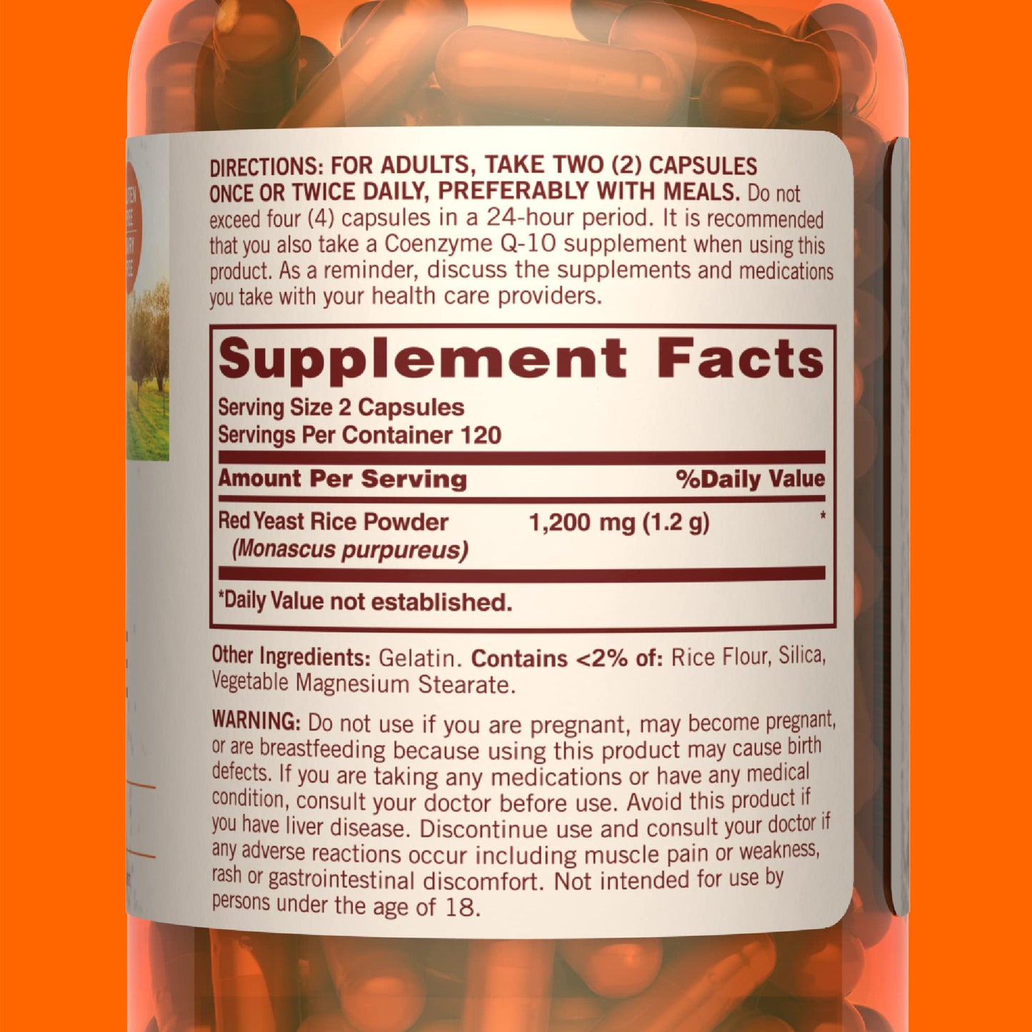 Sundown Red Yeast Rice 1200 mg Capsules, 240 Count