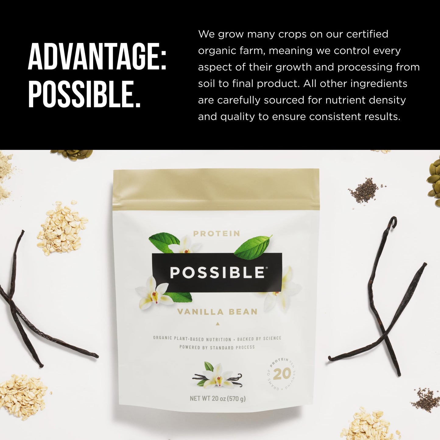 Possible Protein Powder Vanilla - Plant-Based Protein with Essential Amino Acids & BCAAs - 1.25 lb (Pack of 1) - 20