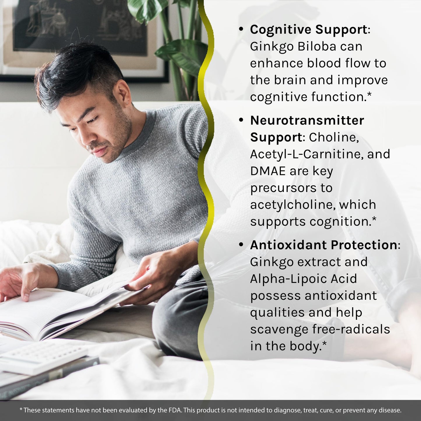 Irwin Naturals Ginkgo Smart Memory & Brain Support Softgels 120-Count