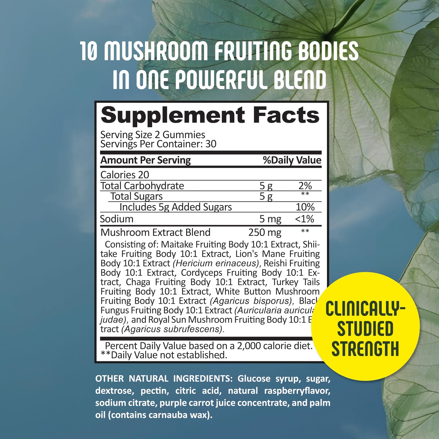 SE Nutrition 10-Mushroom Blend Gummy, 60 Count