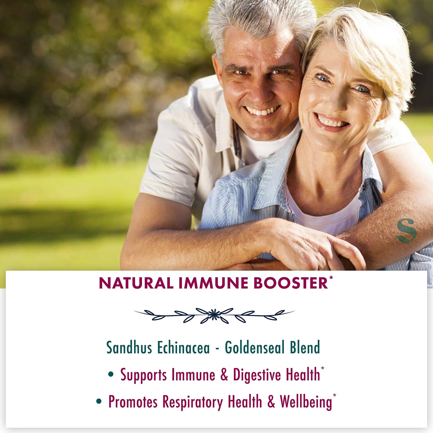 Sandhu's Echinacea Goldenseal Capsules 90 Count