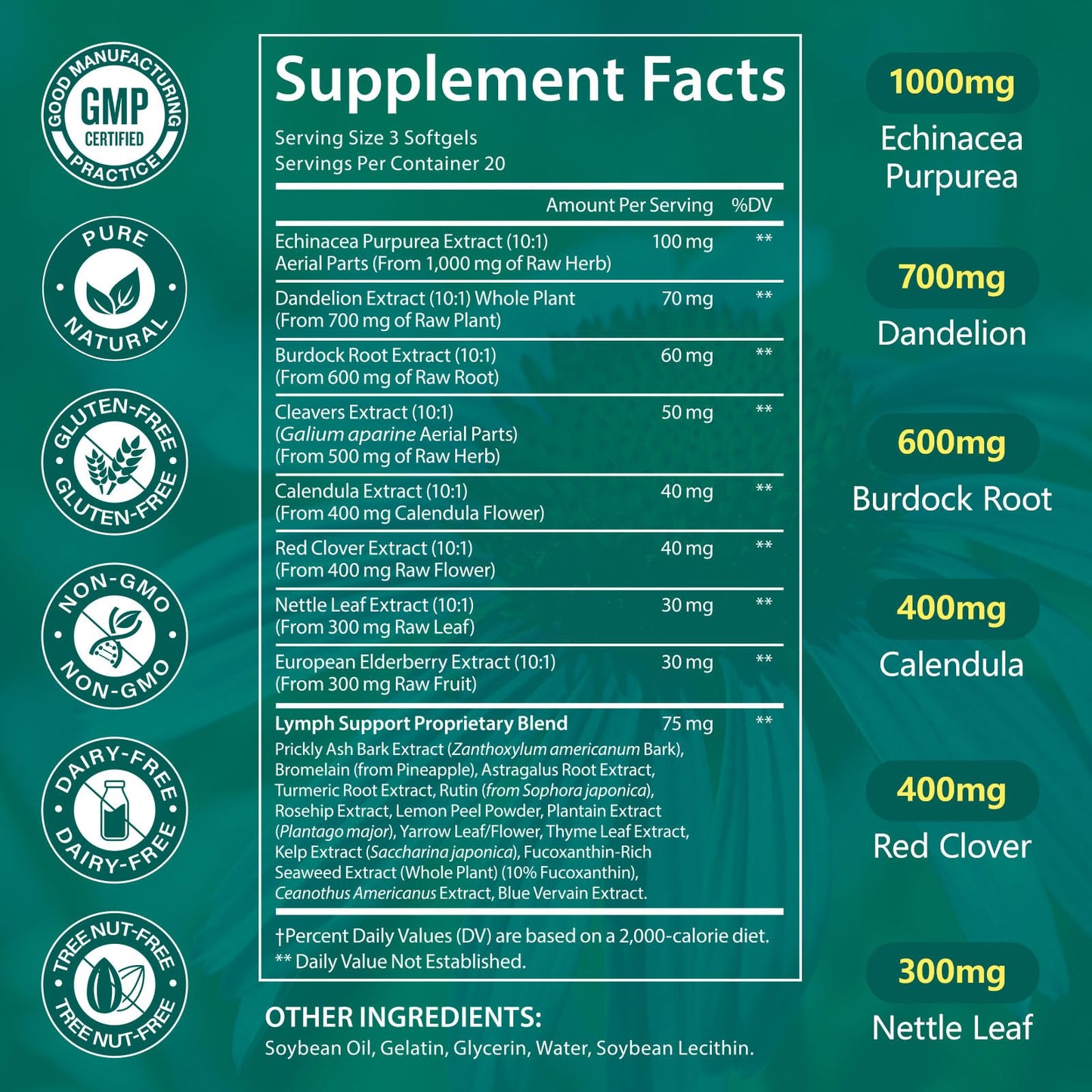 LTQXGT Lymphatic Support Supplement Softgels 60