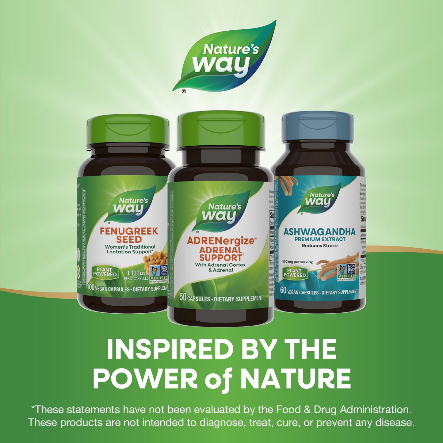Nature's Way ADRENergize Adrenal Support Capsule, 50 Count
