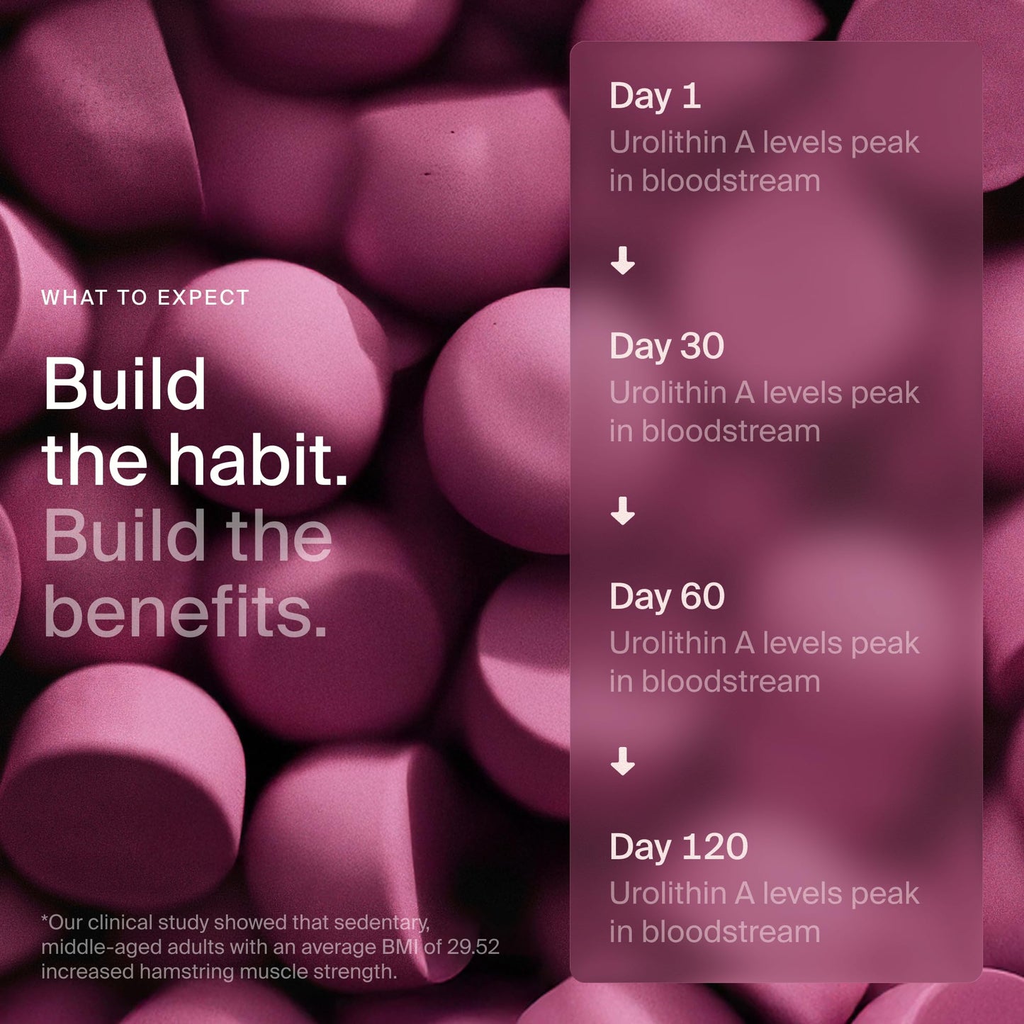 Timeline Mitopure Urolithin A Supplement Gummies 60 Count