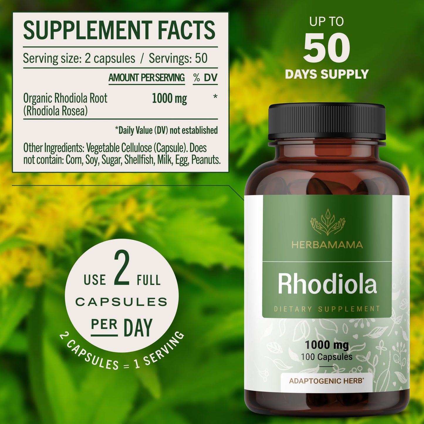 HERBAMAMA Rhodiola Rosea Capsules, 100 Count