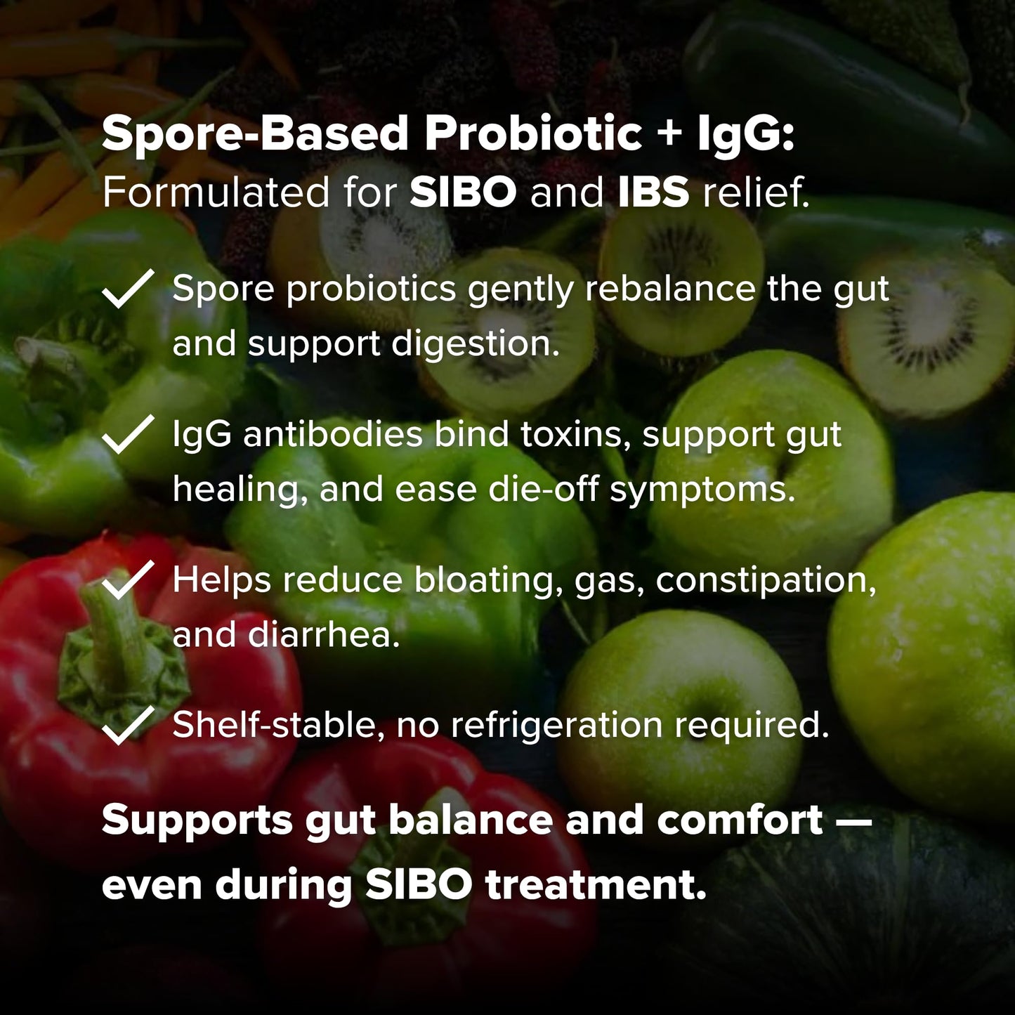 Rajsree Spore Probiotic IgG Capsule, 90 Count