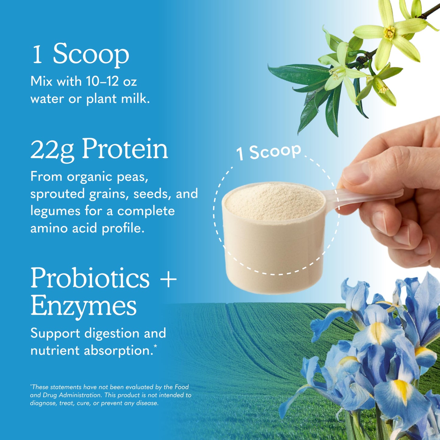 Garden of Life Vegan Protein Powder Vanilla, Probiotics & Digestive Enzymes, Gluten & Lactose Free, 1.37 lb