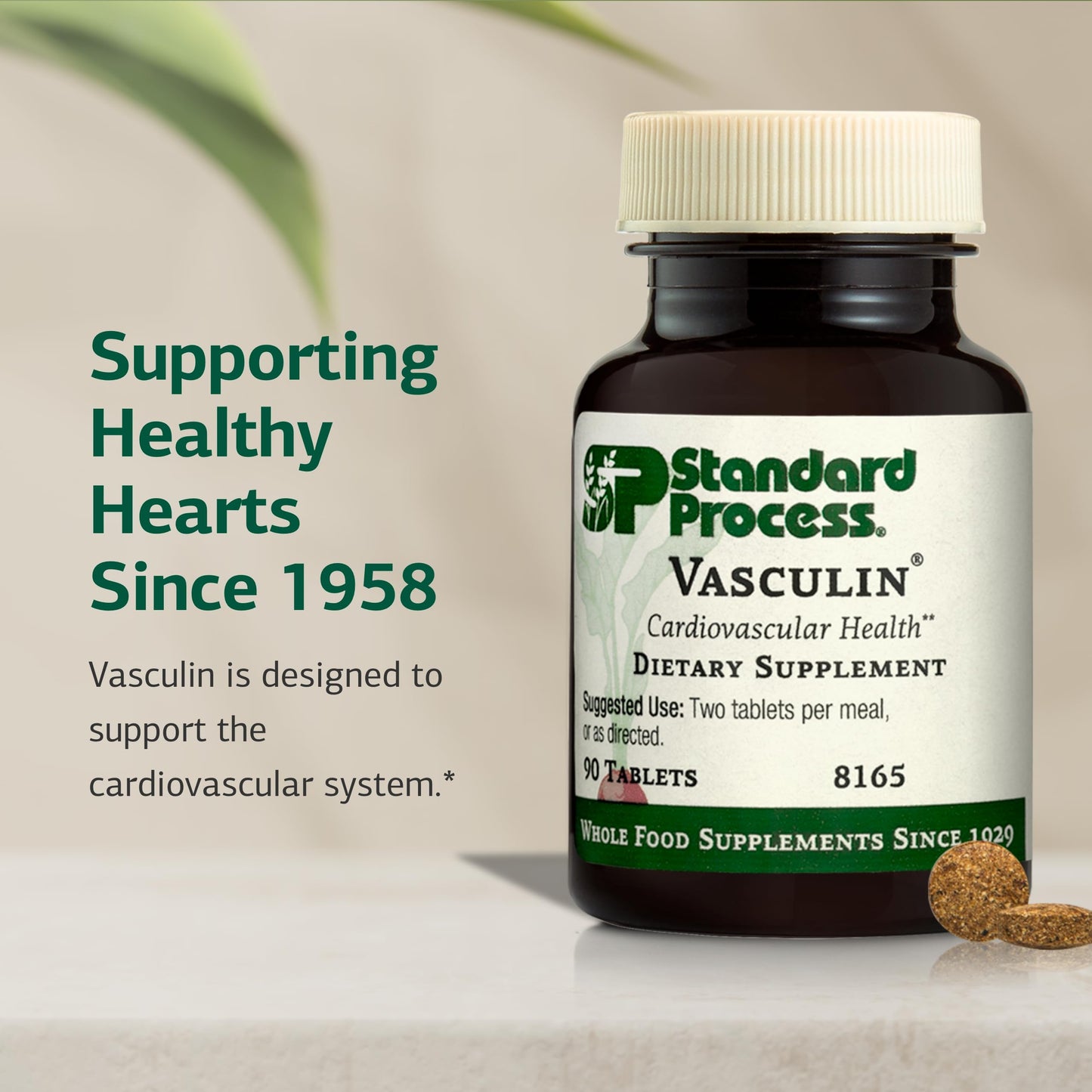 Standard Process Inc. Vasculin Tablets 90 Count