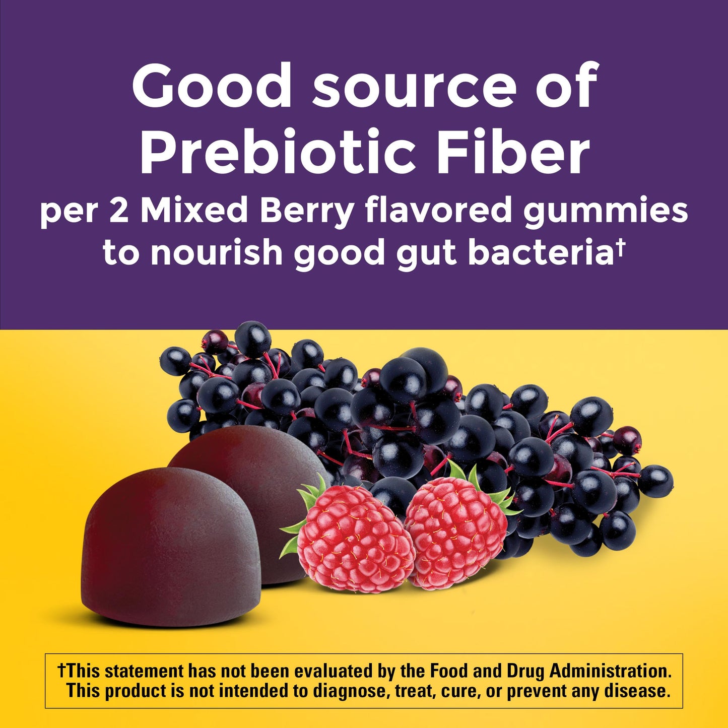 Nature Made Probiotic + Prebiotic Fiber Gummies for Daily Gut Health 100 Gummies