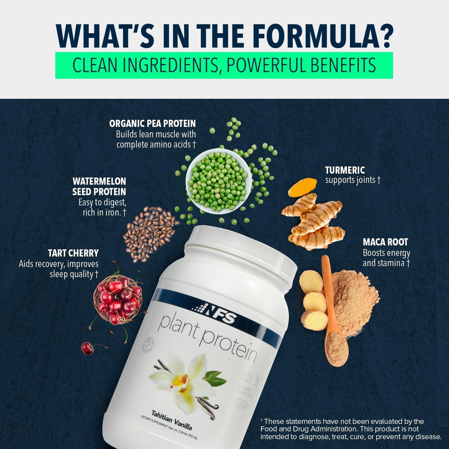 NF Sports All-Natural Plant-Based Protein (Chocolate Maca) Protein Powder, 28 Servings