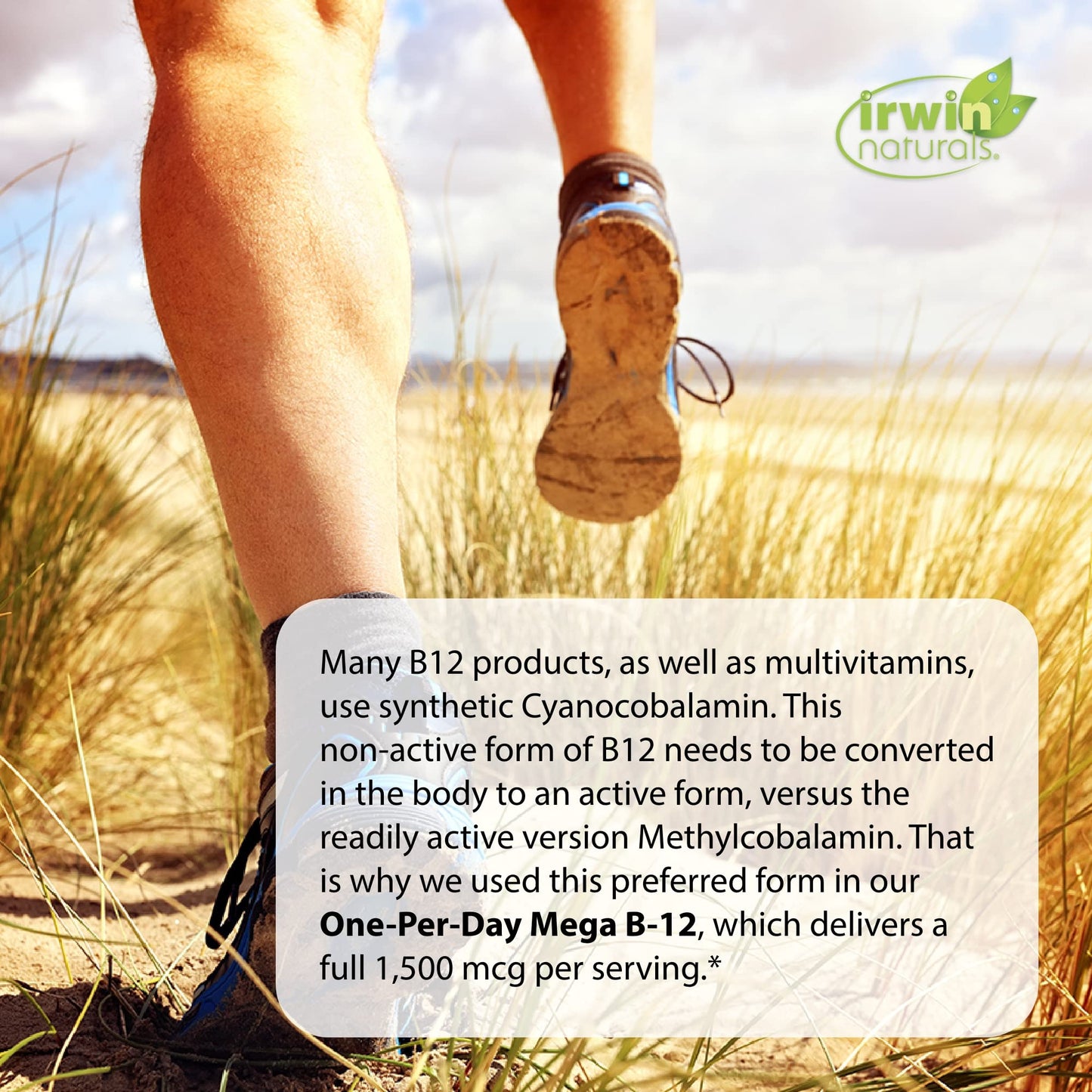 Irwin Naturals One-Per-Day Mega B-12 1500mcg High Potency Methylcobalamin Vitamin Softgels, 60 Count