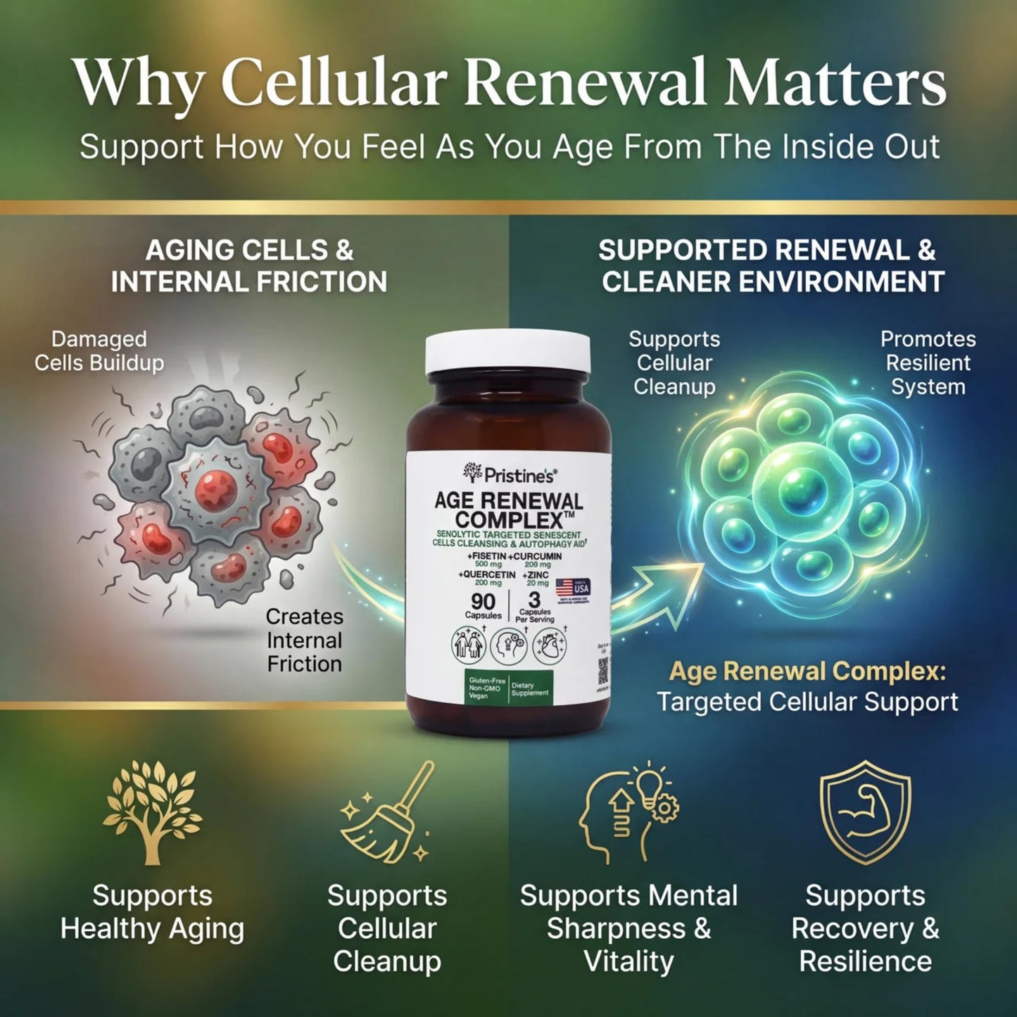 PRISTINE'S Age Renewal Complex Capsule 90 Count