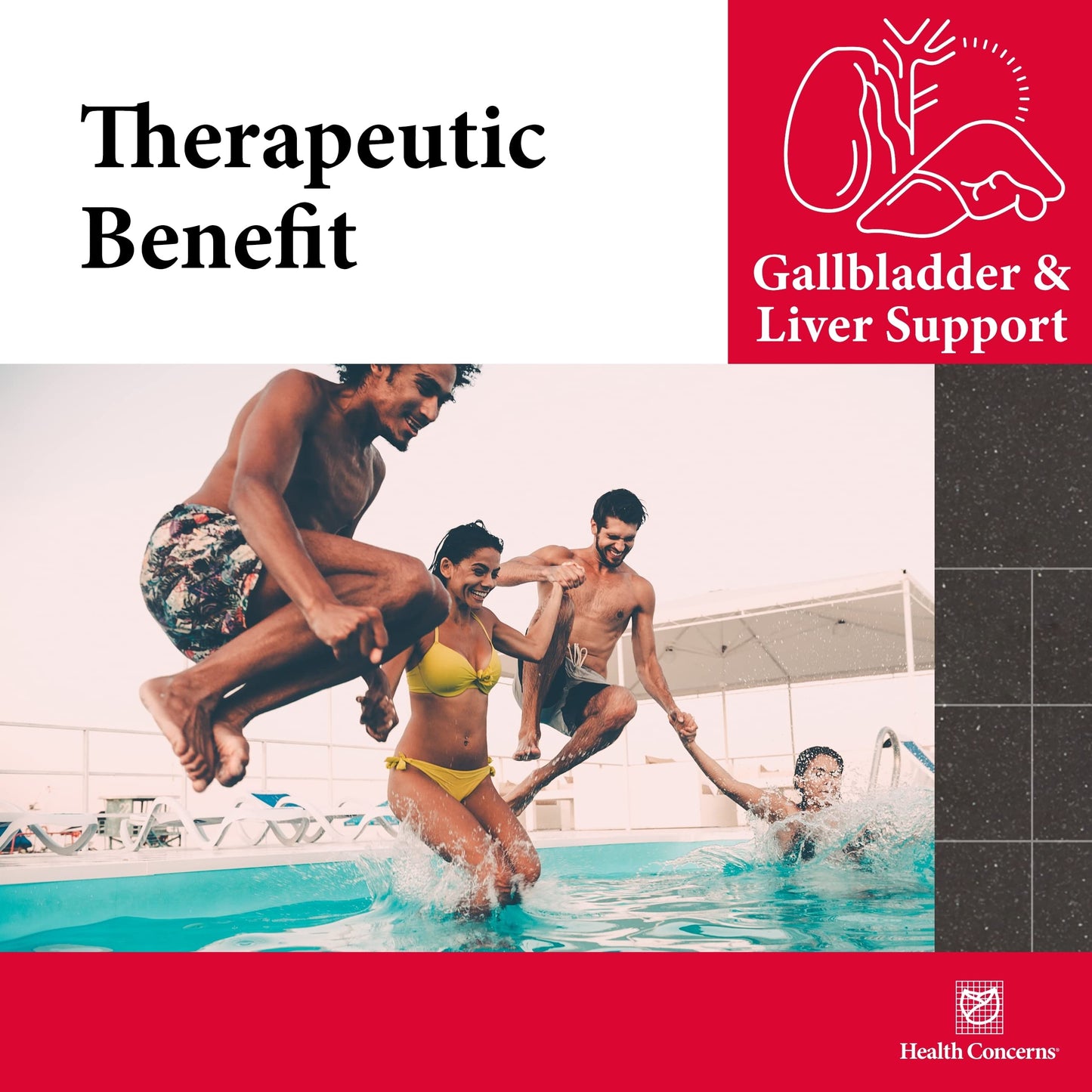 Health Concerns GB-6 Gallbladder Support Capsules, 90 Count