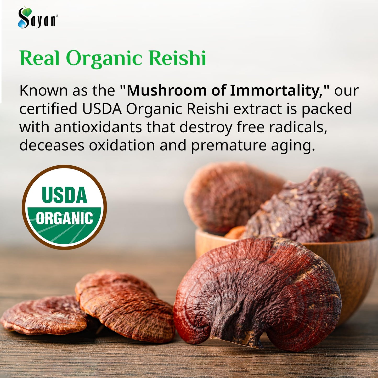 Sayan Reishi Mushroom Extract 440mg Capsules, 90 Count, Immune Support, Organic Vegan