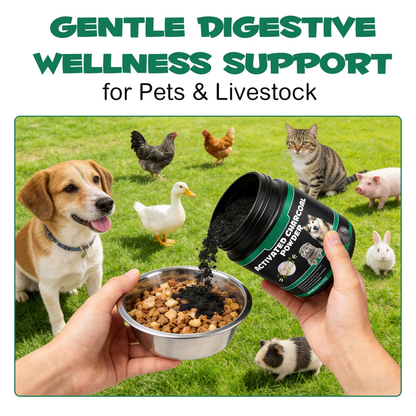 AIQIUSHA Activated Charcoal Powder for Dogs & Cats, 120 g
