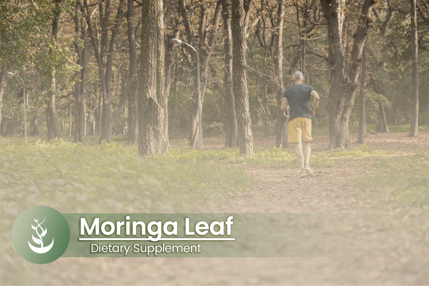 PURE ORIGINAL INGREDIENTS Moringa Oleifera 100 Capsules