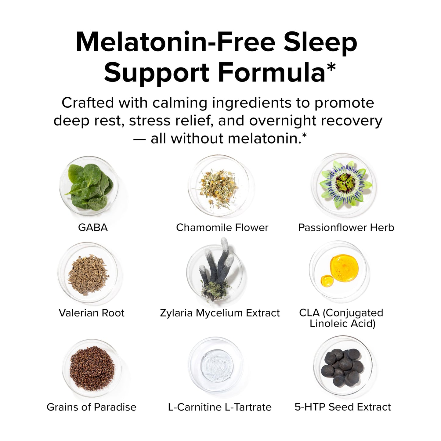 InnoSupps Night Shred Black Melatonin-Free Night Time Fat Burner Capsules 90 Count
