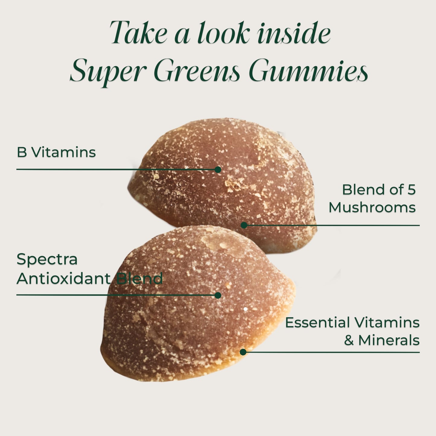 Primal Harvest Super Greens Gummies 60 Count