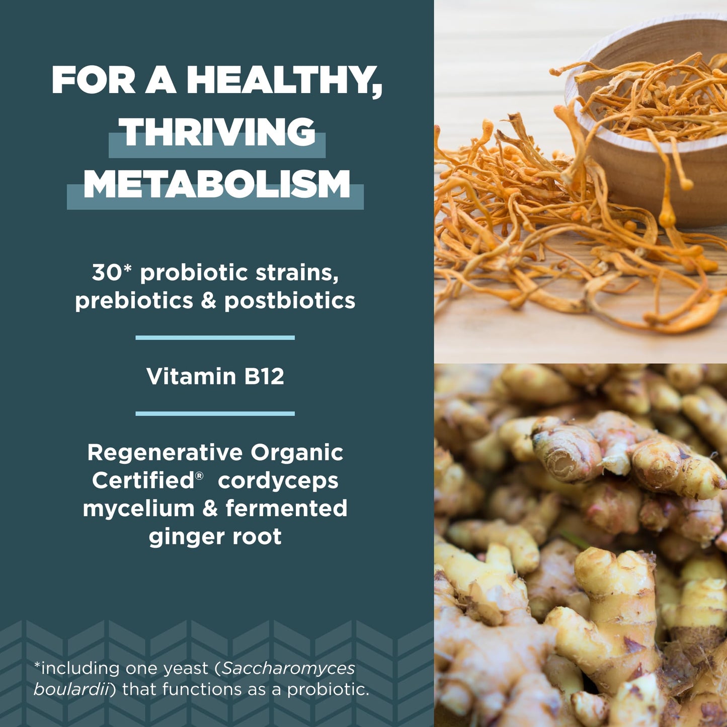 Ancient Nutrition Regenerative Organic Certified Probiotics for Metabolism Support, Healthy Digestion and Immune System Function Support, 50 Billion CFUs per Serving Capsule, 60 Count