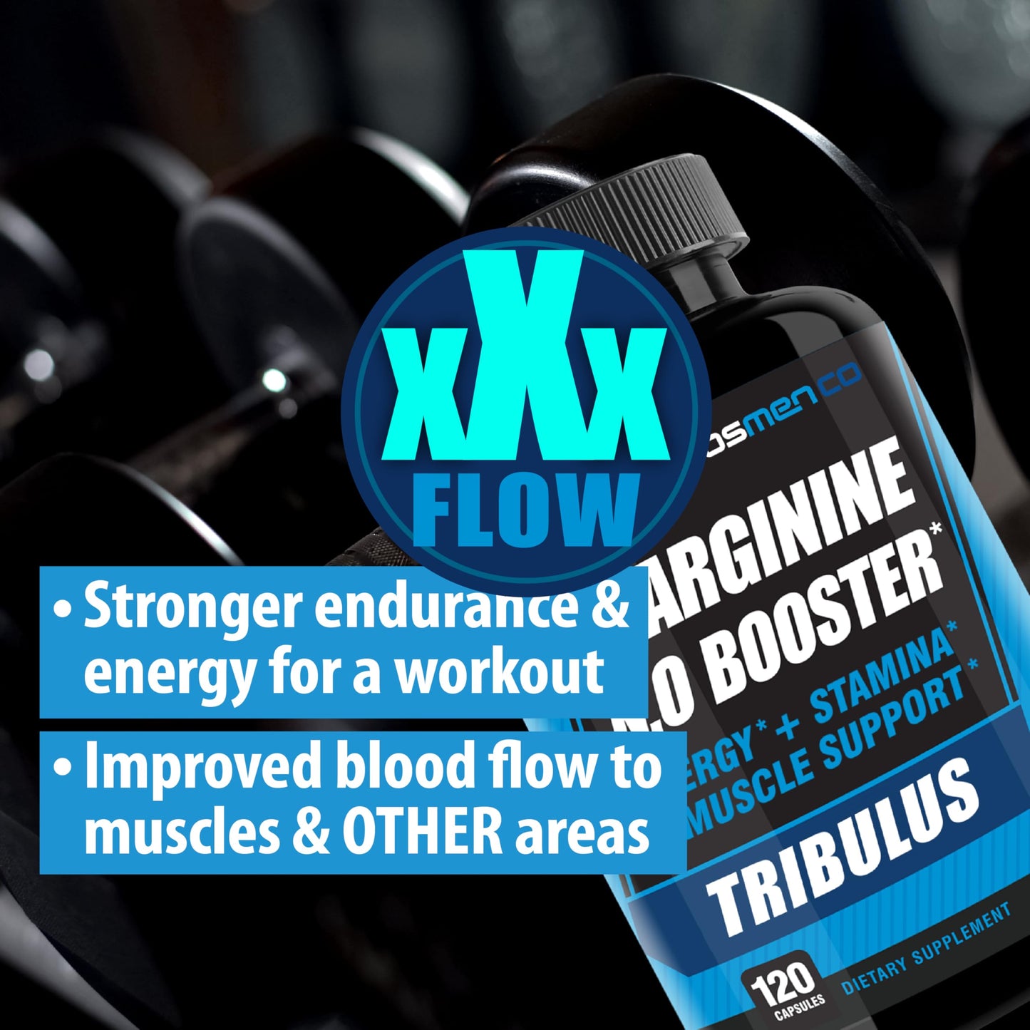 THELABSMENCO L-Arginine Nitric Oxide Supplement Capsules 120 Count
