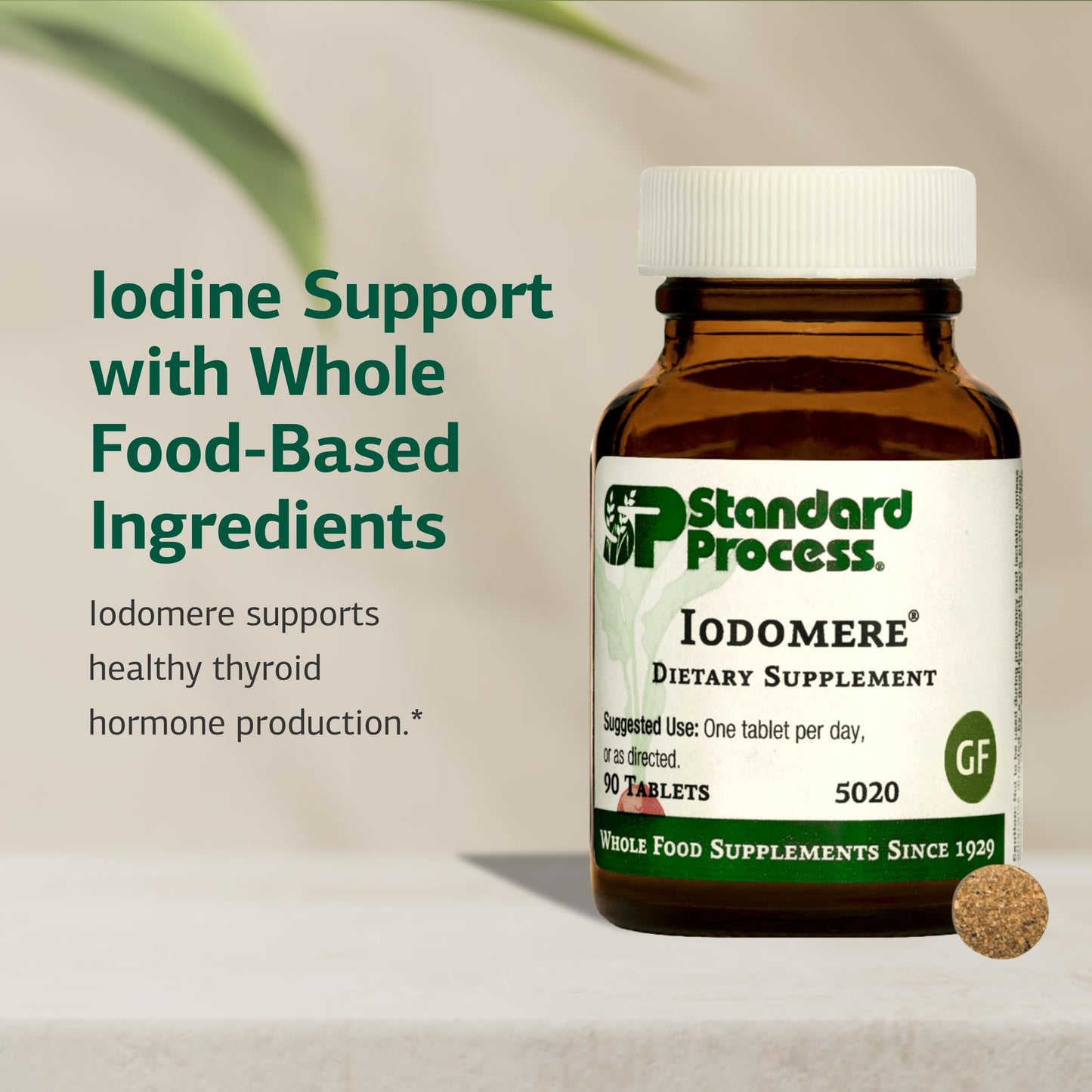 Standard Process Inc. Iodomere Tablet, 90 Count