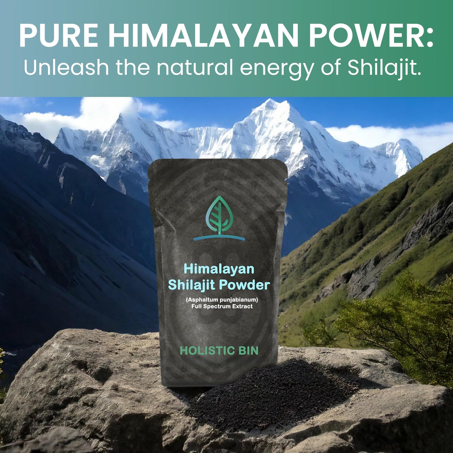 Holistic Bin Raw Himalayan Shilajit Powder 0.8818 Ounce