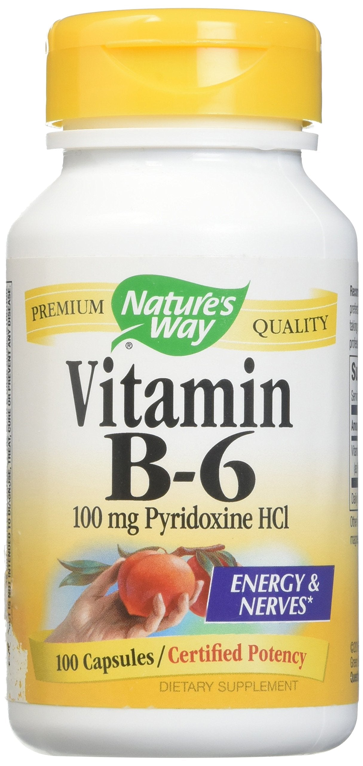 Natures Way B6 100 Mg Capsule, 100 Count