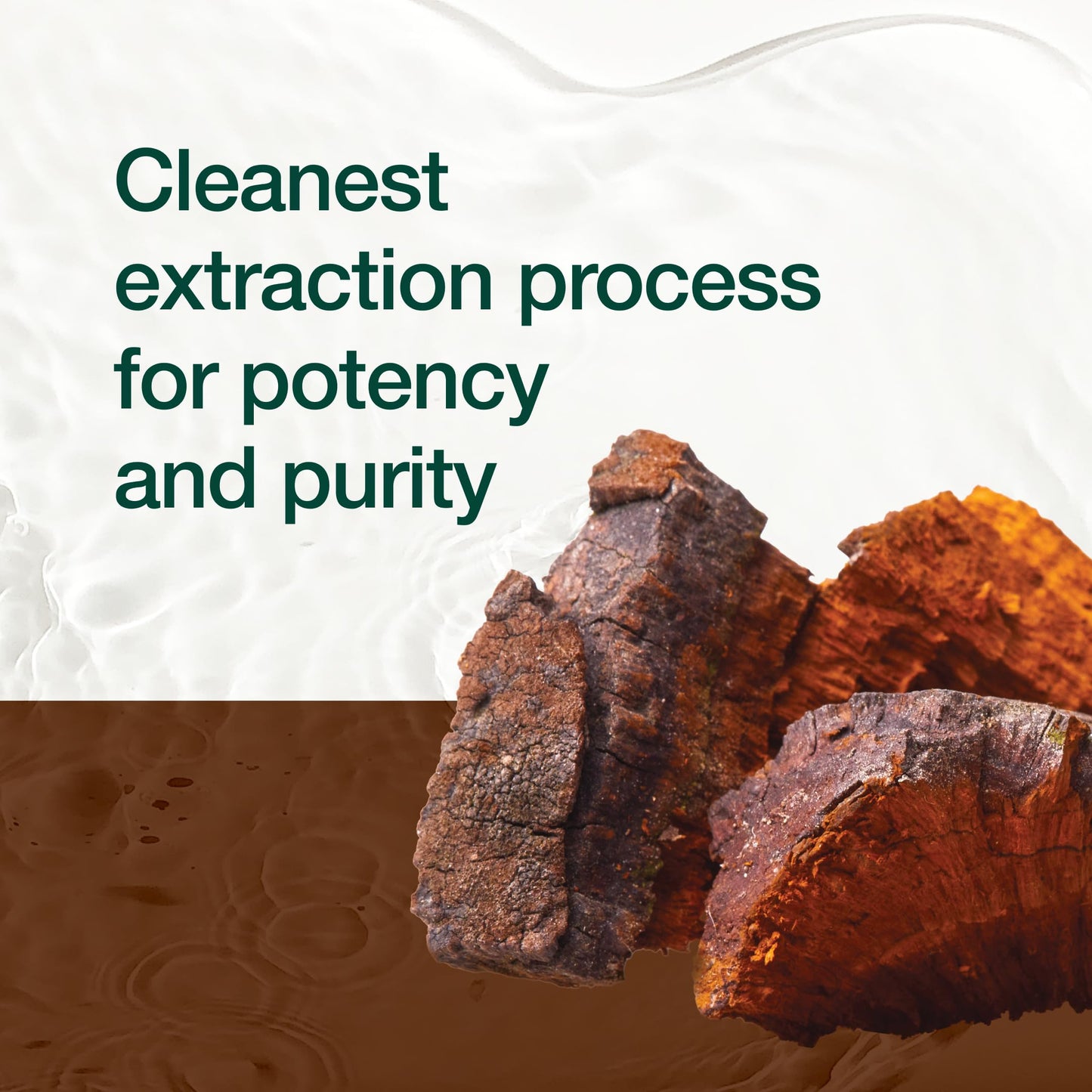 Fresh Nutrition Organic Chaga Mushrooms Capsules, 180 Count