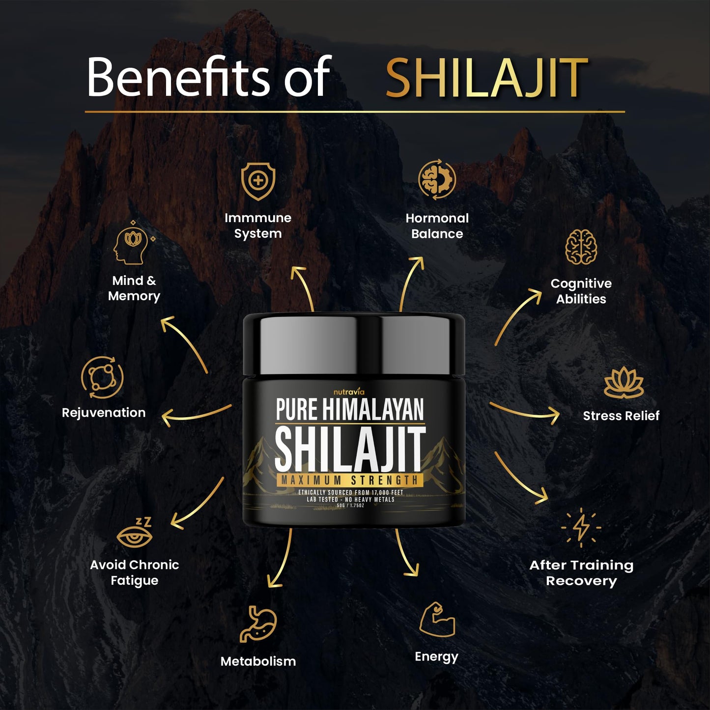 Nutravia Shilajit Capsule 600mg Max Strength with 85+ Trace Minerals Golden Grade (2 Capsules)
