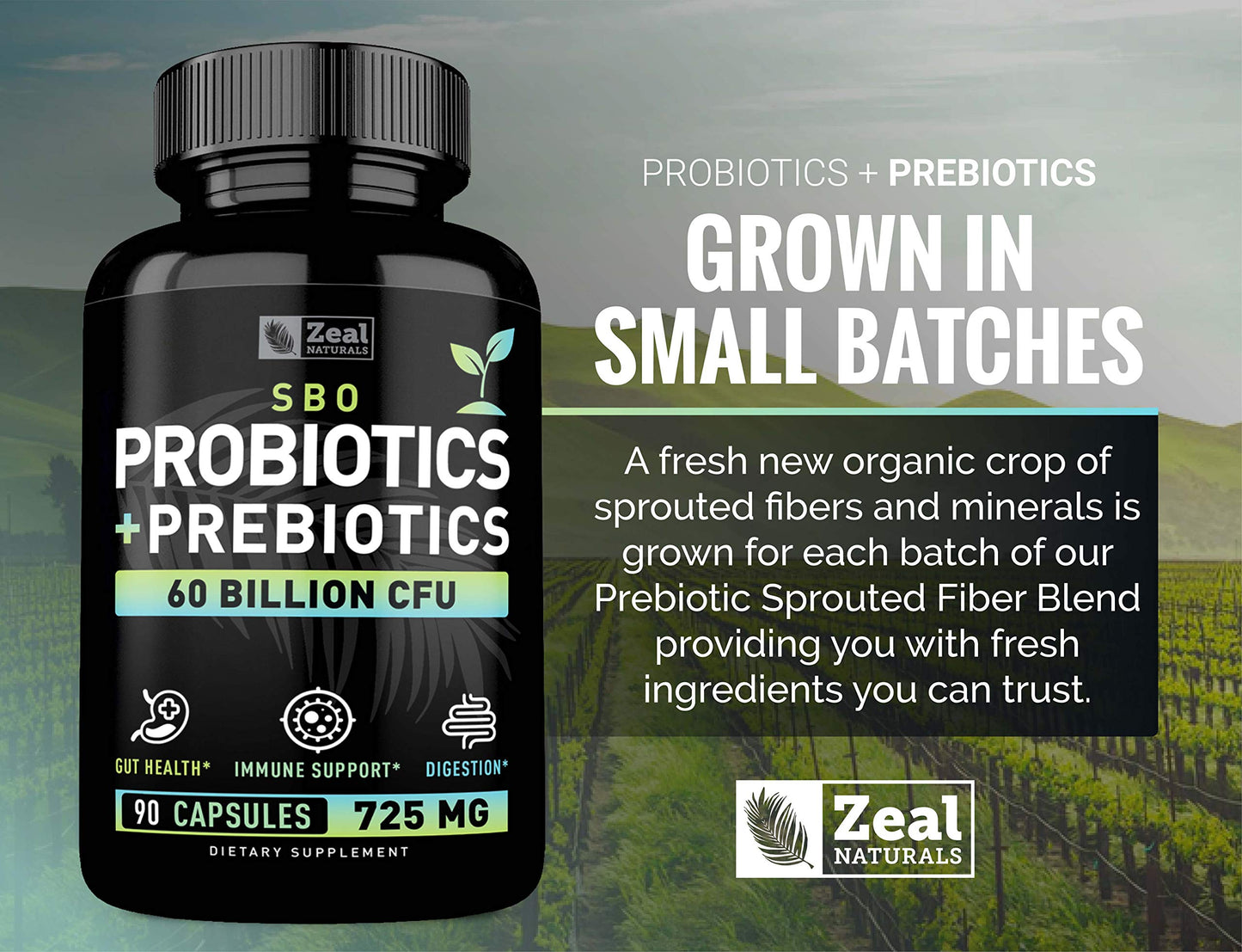 Zeal Naturals Probiotics and Prebiotics + SBO Probiotics (60 Billion CFU) 90 Capsules