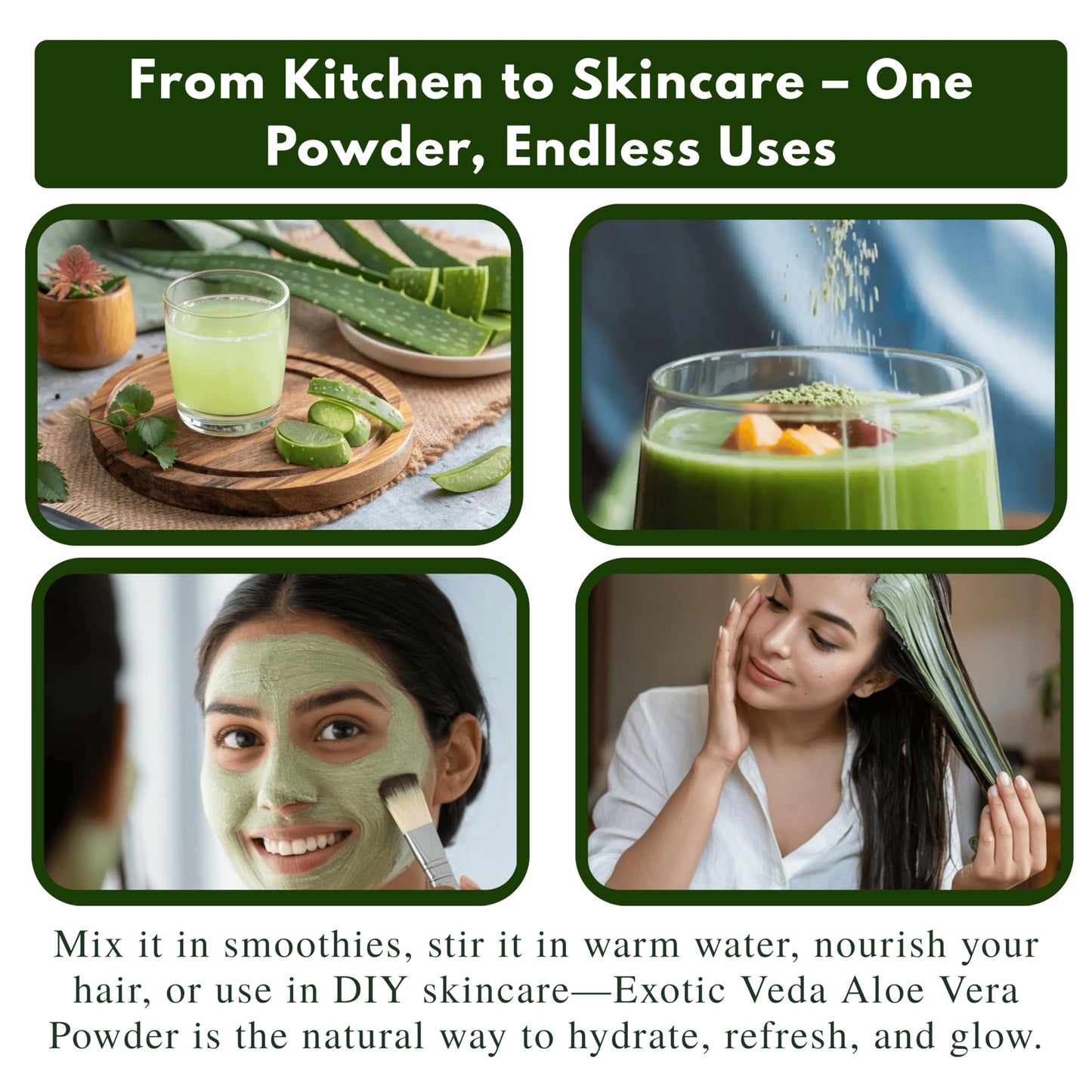 Exotic Veda Aloe Vera Powder 3.53 oz