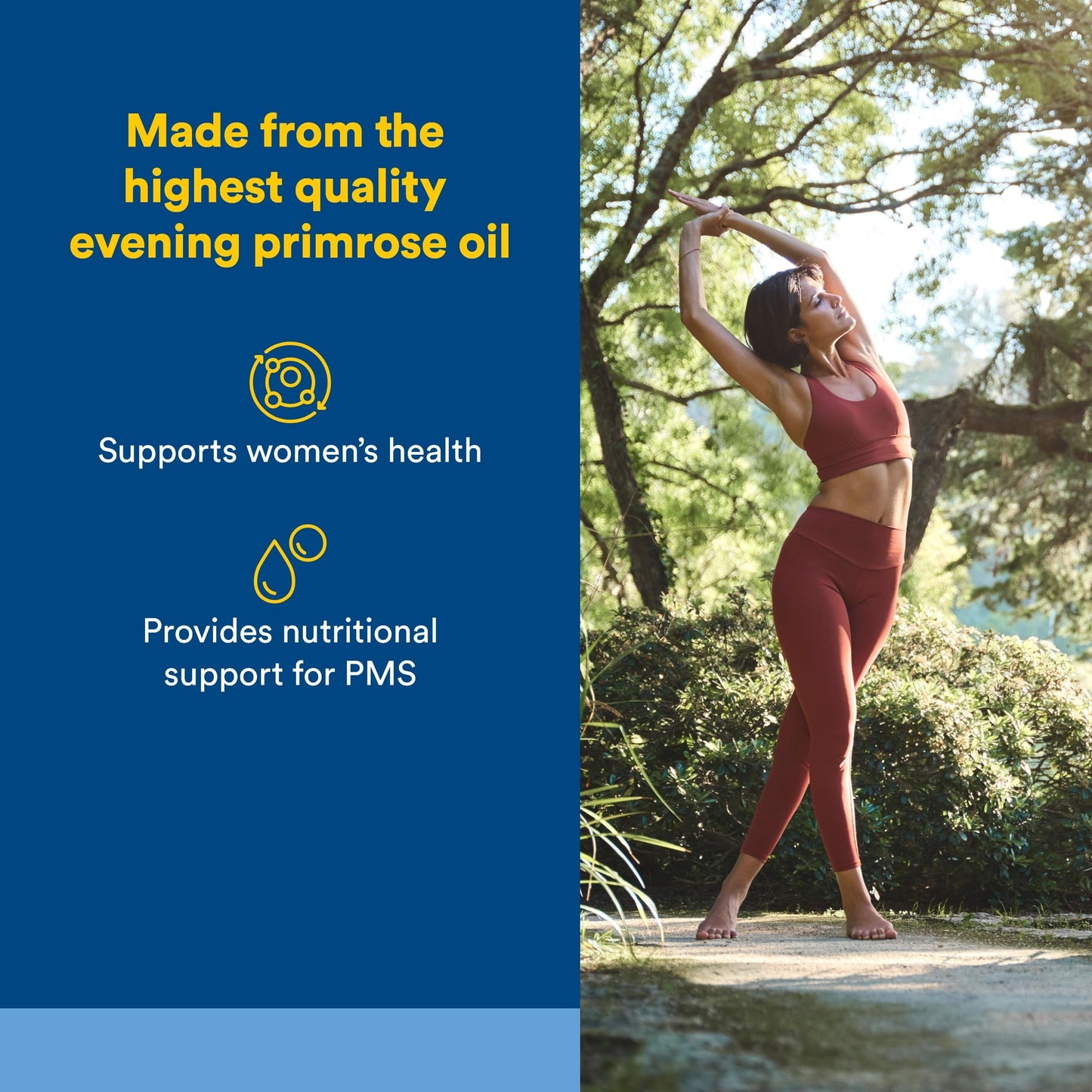 Natural Factors Omega Factors Ultra Prim Evening Primrose Oil Softgels 240