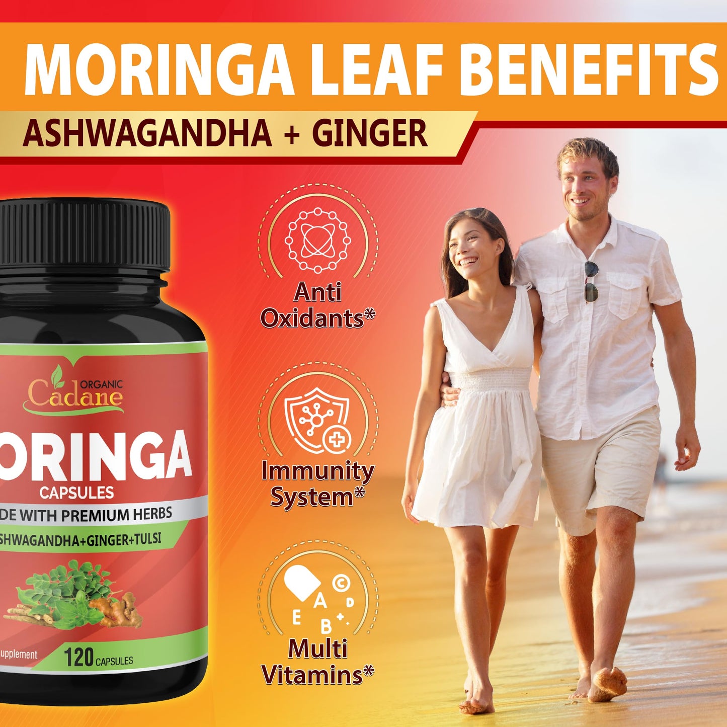 Organic Cadane Moringa Powder Capsules 4in1 with Ashwagandha, Ginger, Holy Basil Tulsi Immune Support Oleifera Leaf Powder Herb Supplements 120 Capsules