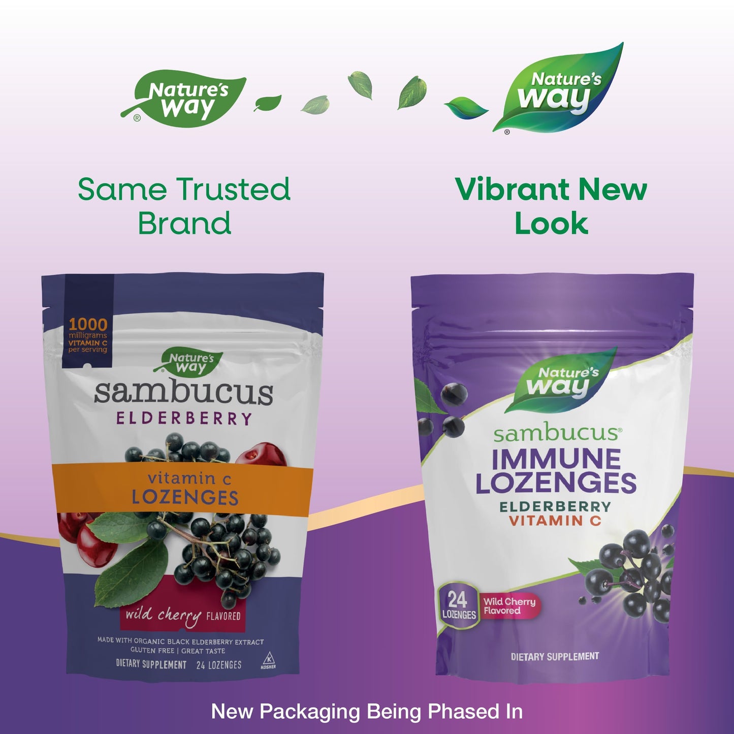 Nature's Way Sambucus Immune Lozenges 72 Count