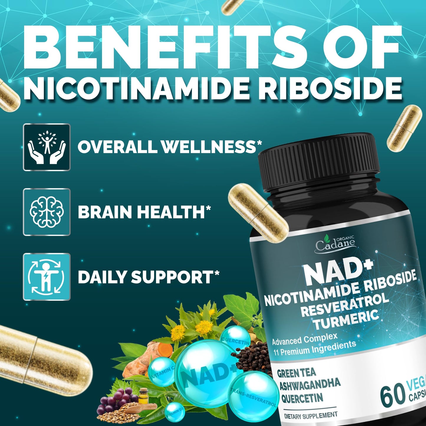 Organic Cadane 11-in-1 Nicotinamide Riboside Supplement with Trans-Resveratrol, Turmeric Curcumin & 8 More Capsules, 60 Count