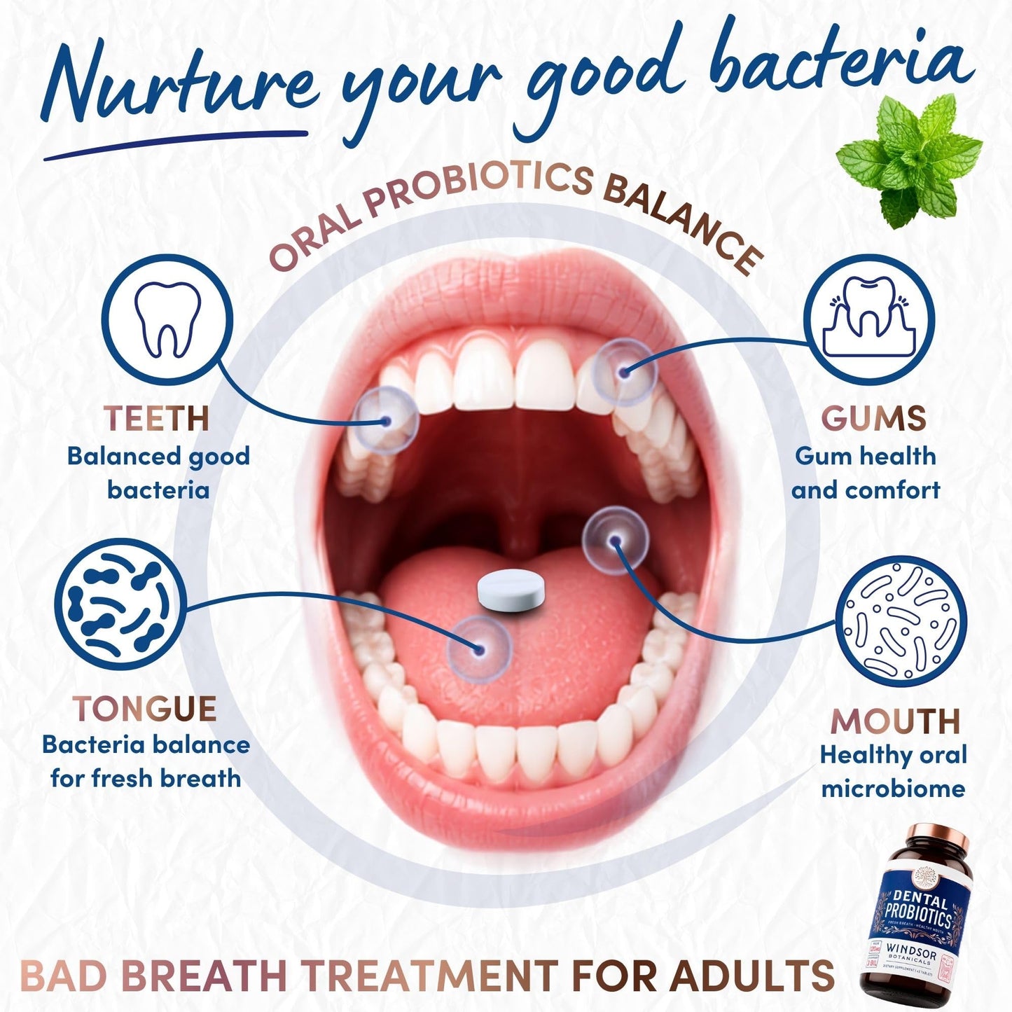 WINDSOR BOTANICALS Oral Probiotics for Teeth and Gums - 270 Chewable Mint Probiotic Tablets