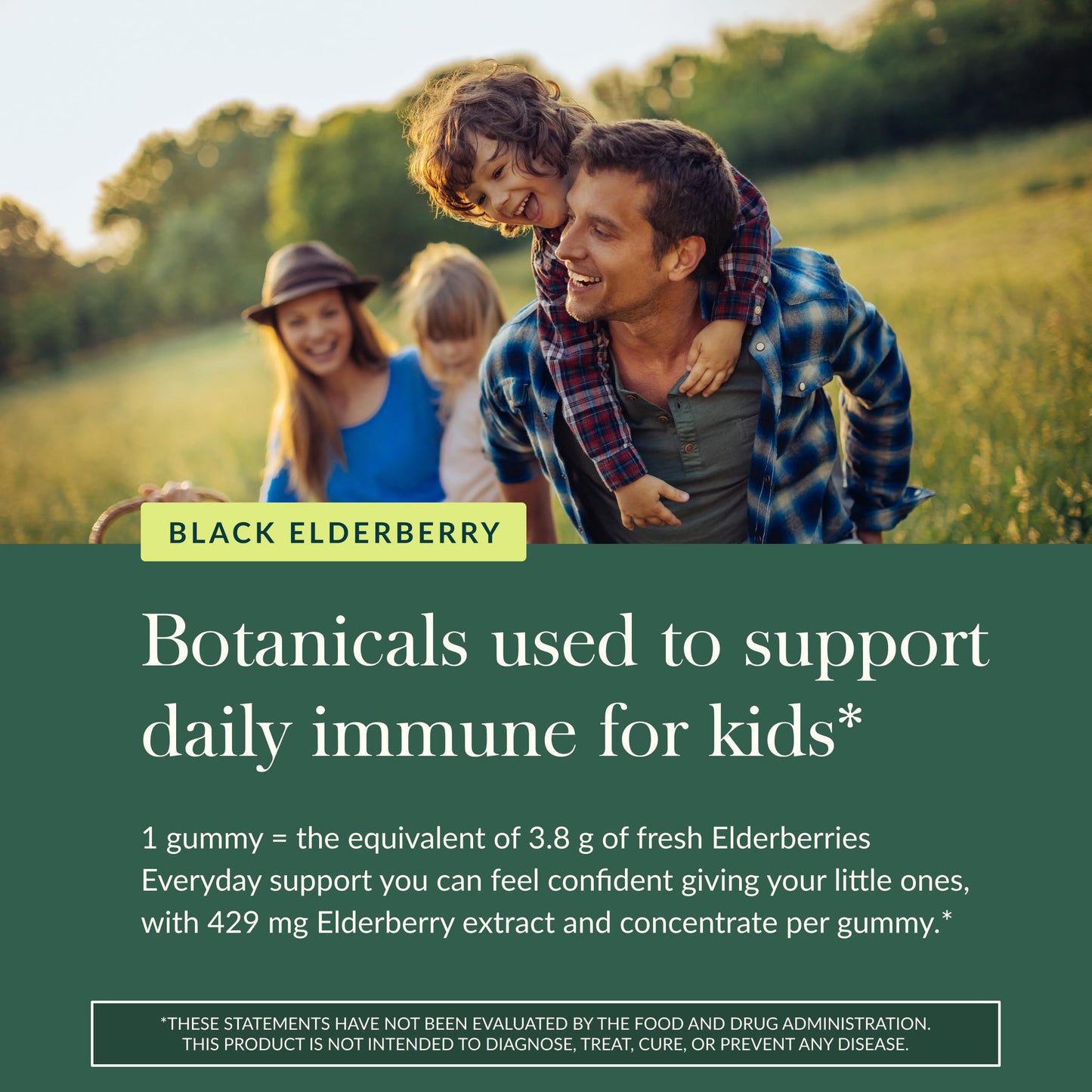 Gaia Herbs Black Elderberry Daily Gummies for Kids Capsules 40 Count
