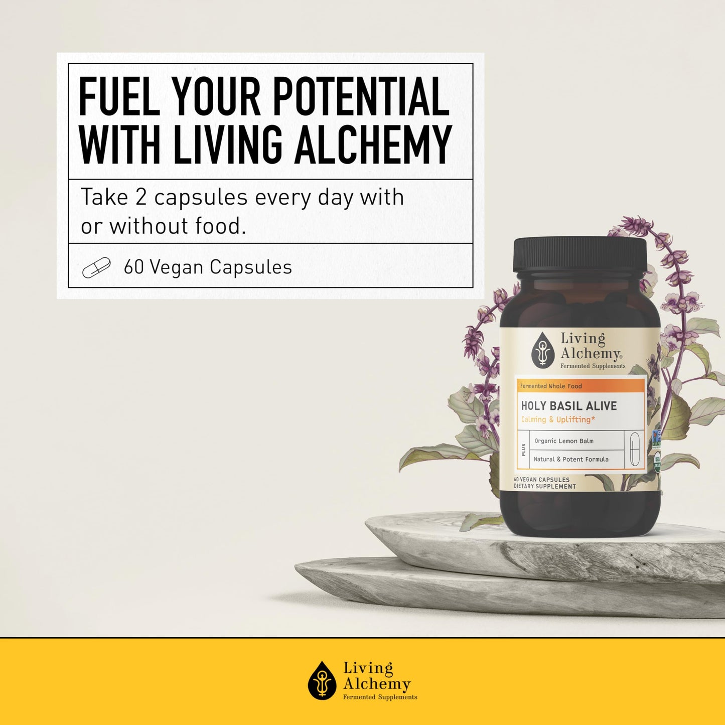 Living Alchemy Holy Basil Supplements - Fermented Holy Basil with Natural Lemon Balm - Daily Supplements for Women & Men - Vegan, Non-GMO Powder, 60