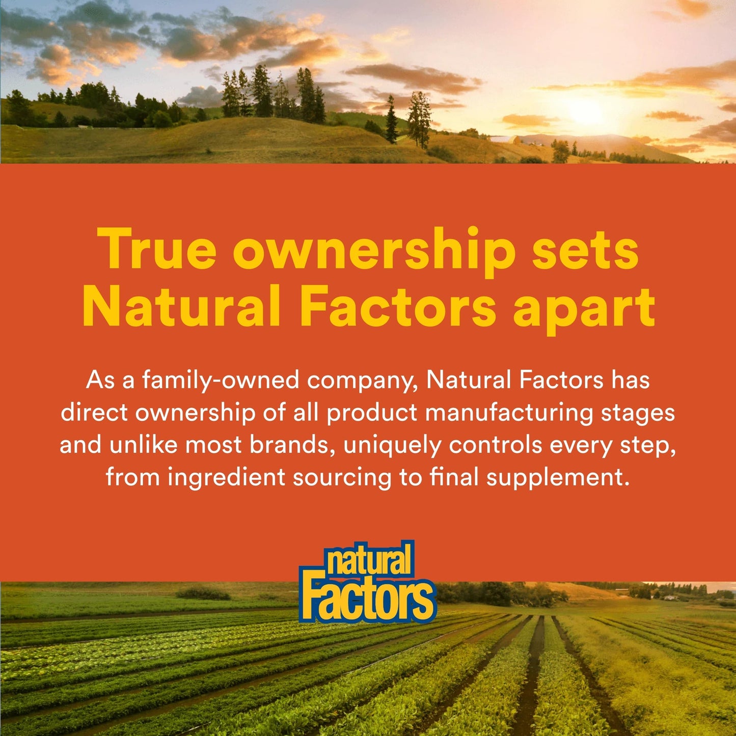 Natural Factors Hi Potency B Complex Capsule 90 Capsules