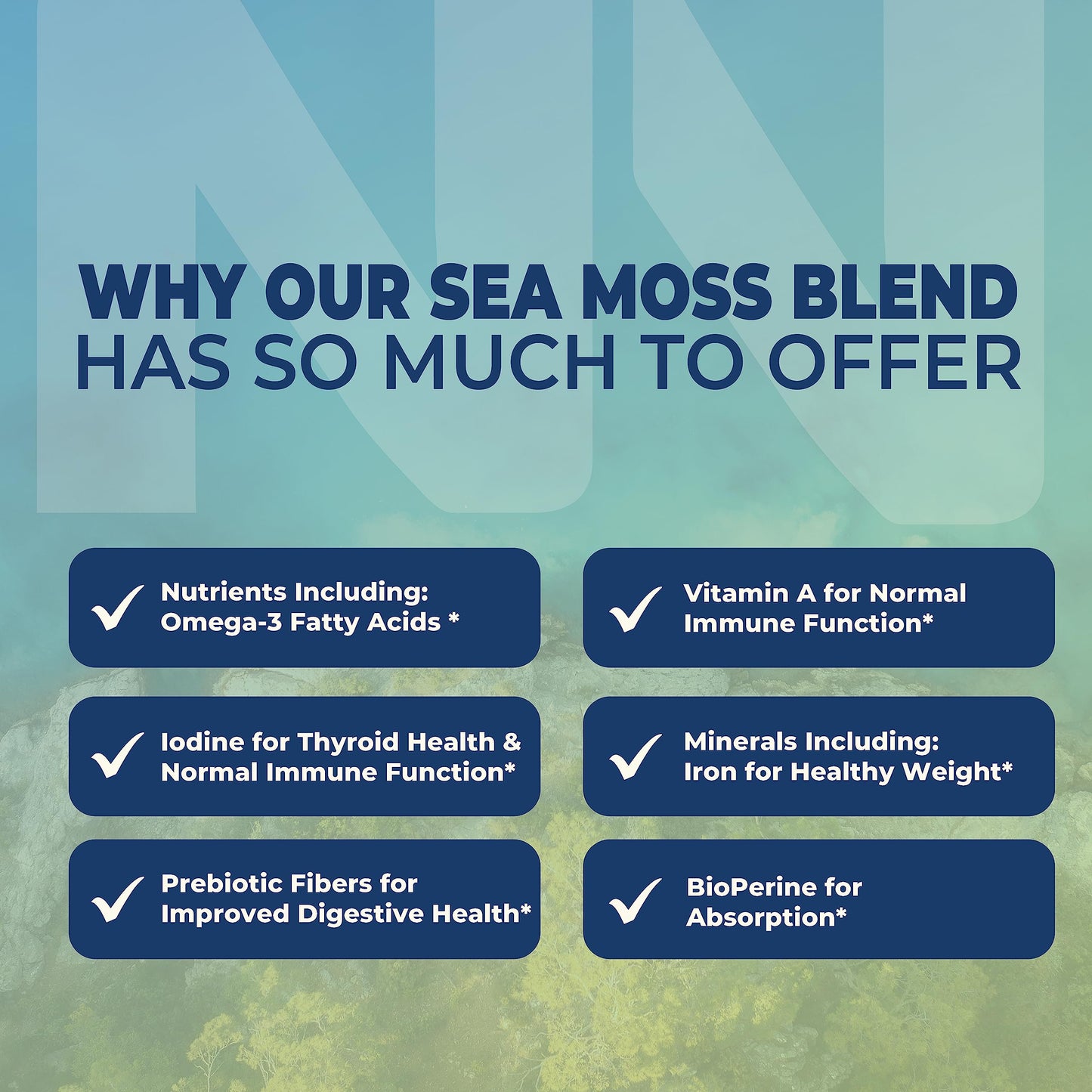 Nobi Nutrition Irish Sea Moss Capsules 90 Count