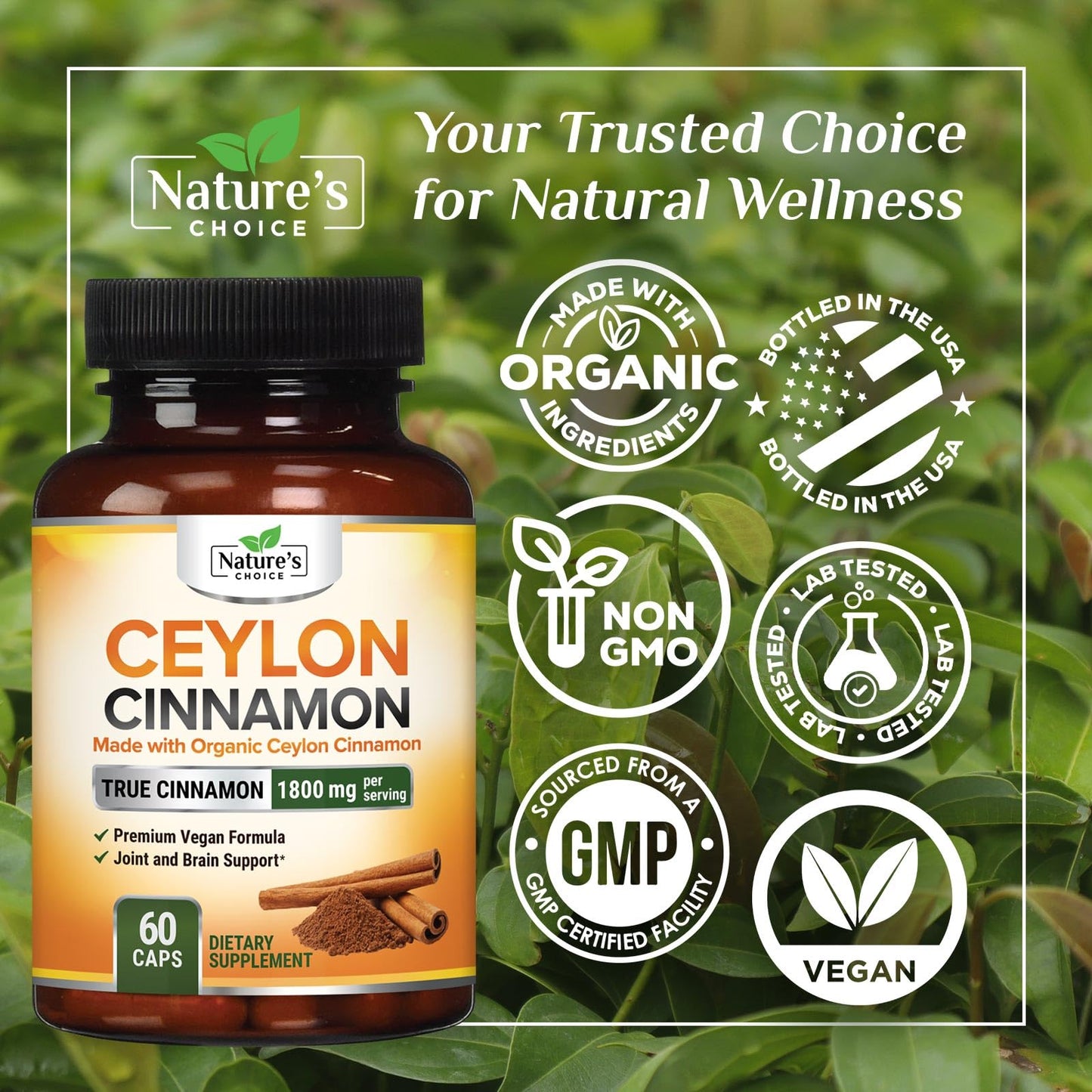 Nature's Choice Ceylon Cinnamon Capsules, 60 Count