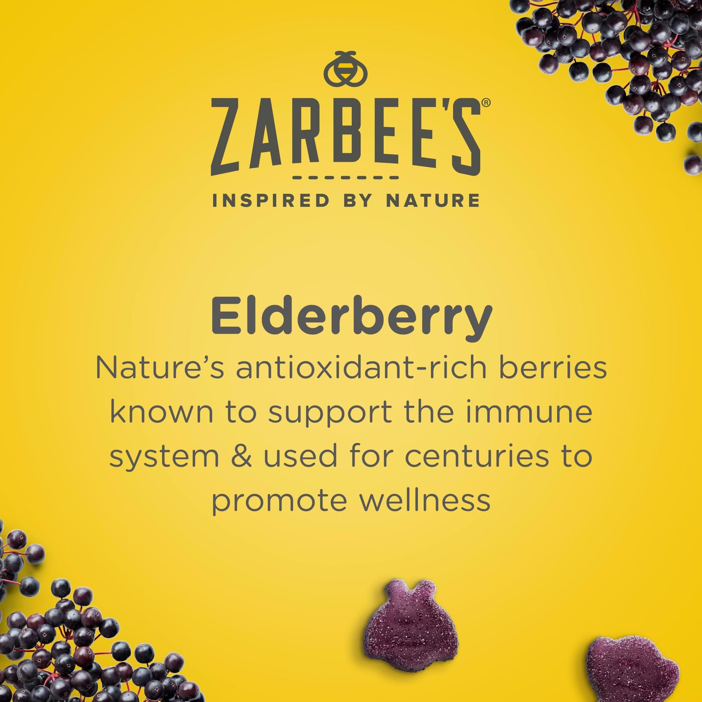 Zarbee's Daily Immune Support Gummies 60 Count