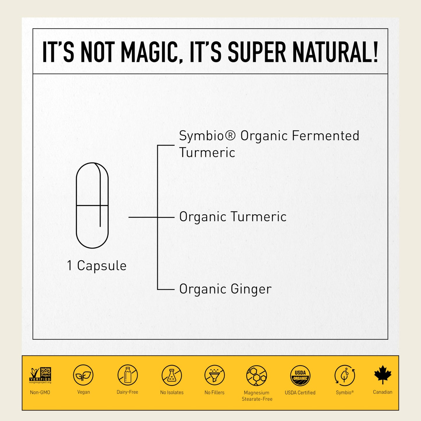 Living Alchemy Turmeric & Ginger Supplement Capsules 60 Count