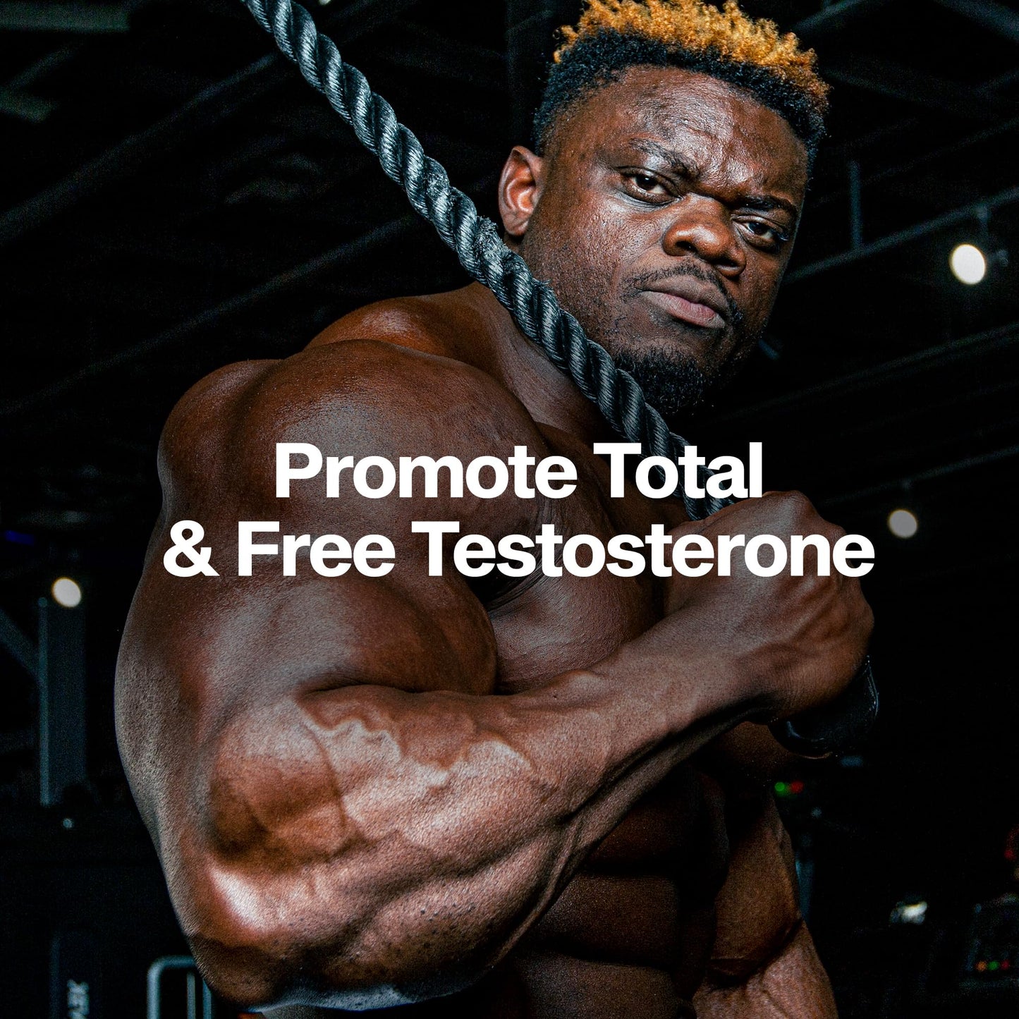 MuscleTech Testosterone Booster for Men, AlphaTest Capsule, 1 Count