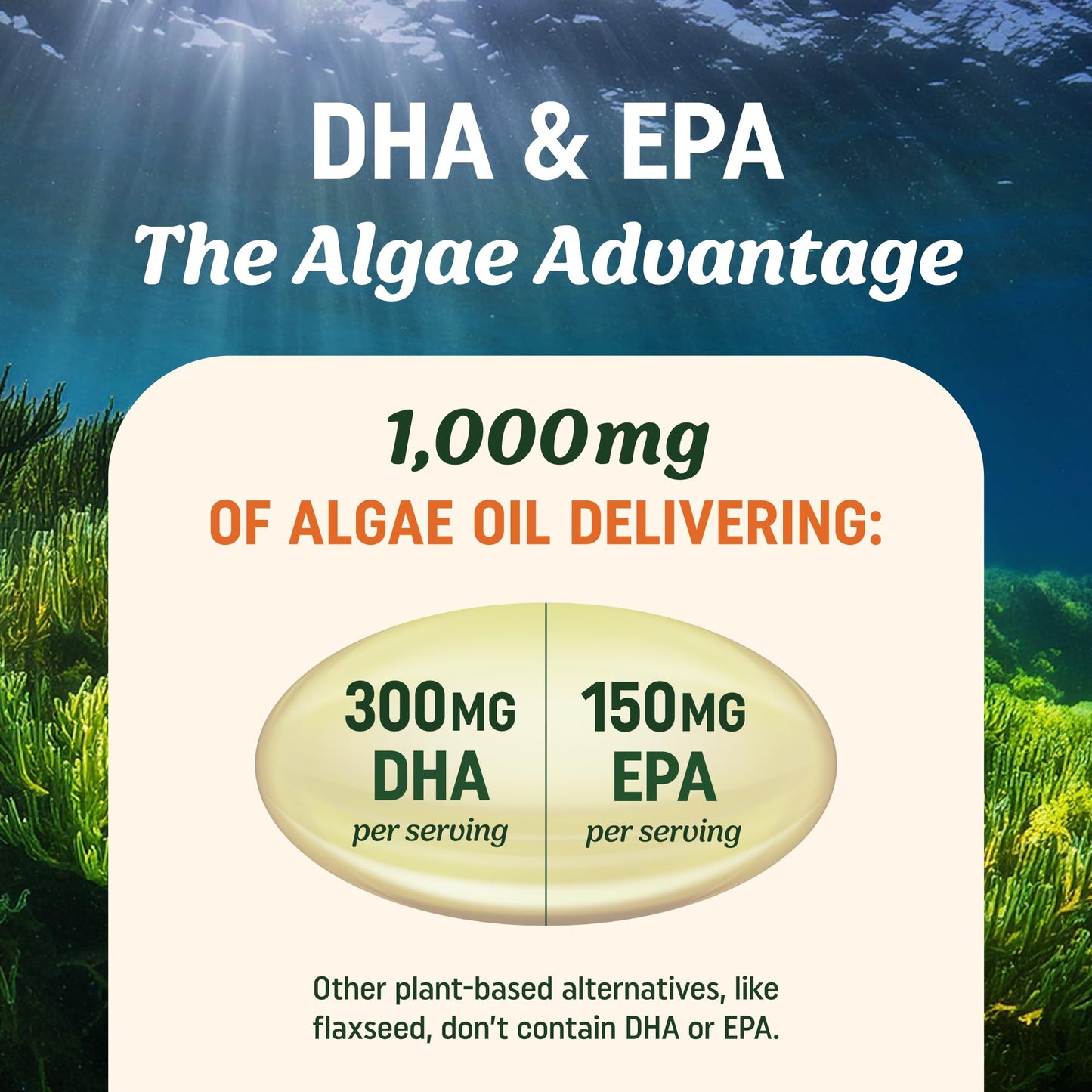 MAV NUTRITION Vegan Omega 3 Algae Oil Plant Based DHA EPA Softgels 120